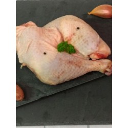 Cuisse de Poulet